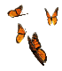 Butterflies