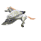 Pegasus