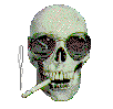 A cool skull with sunglasses, hanging out by the sign