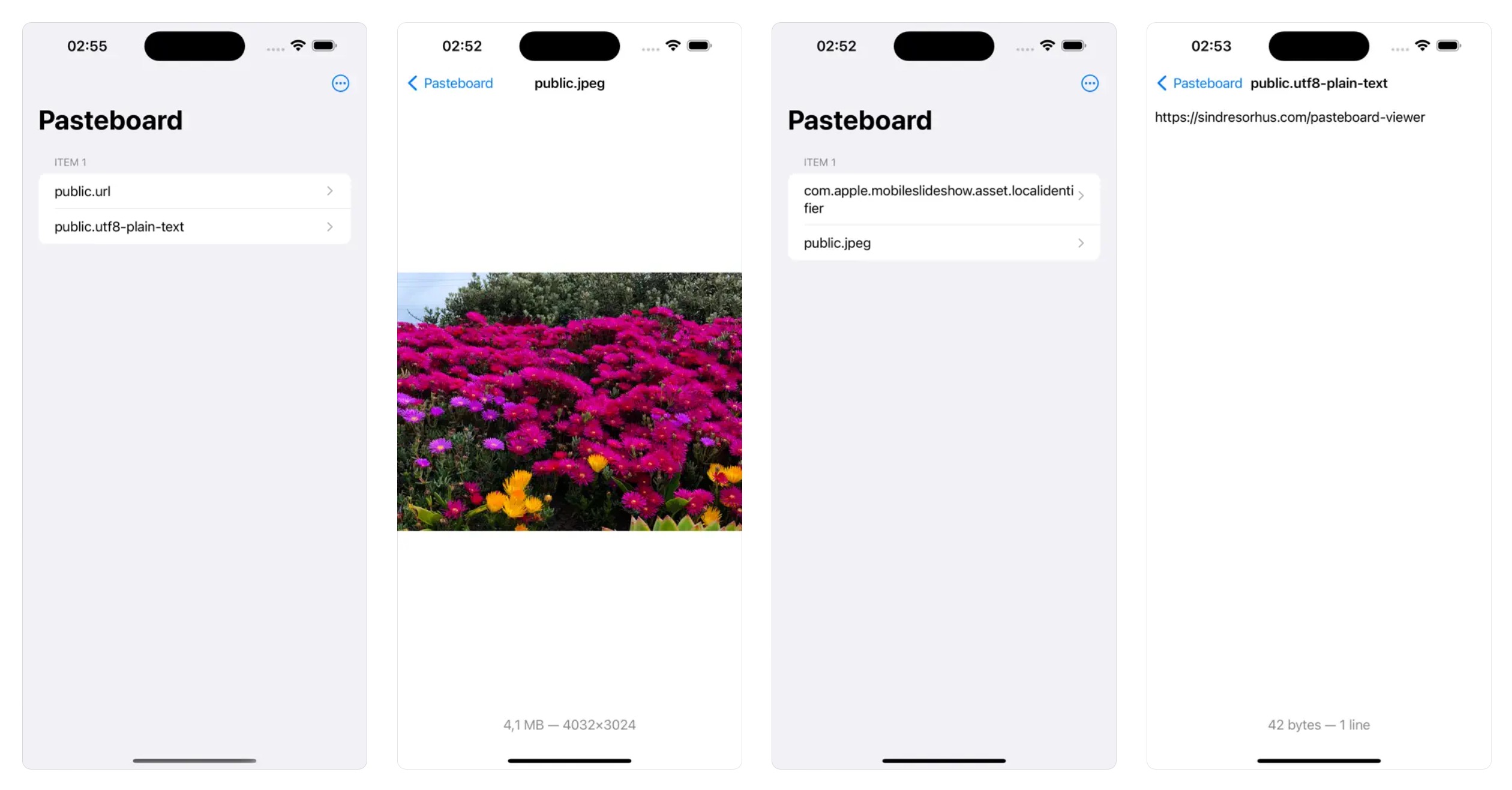 Pasteboard Viewer screenshot 2