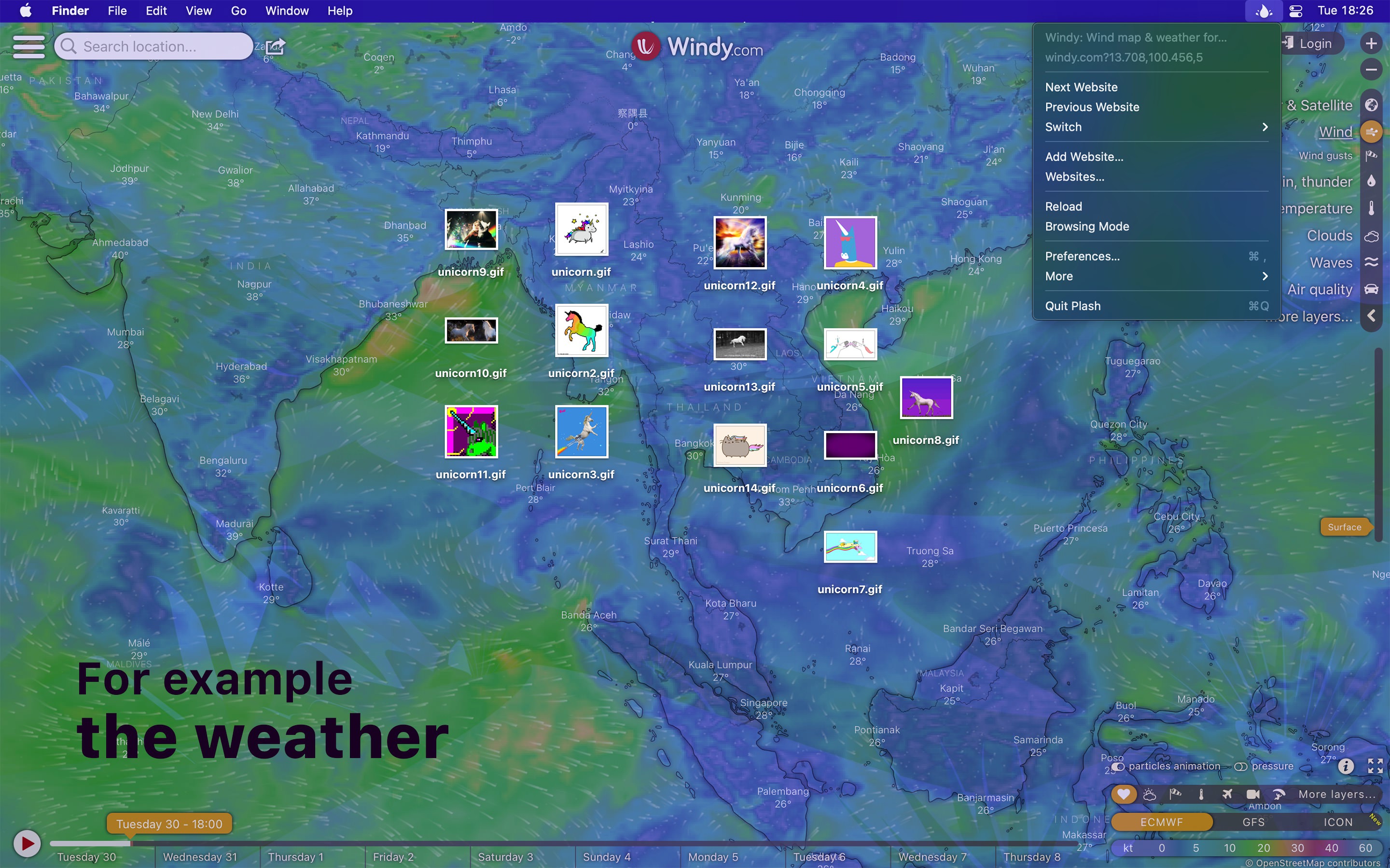 Plash screenshot 2